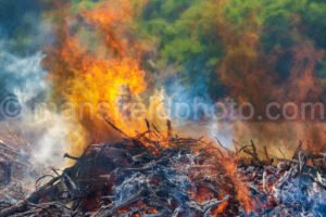 Controlled Burn A4-07500 - Mansfield Photography