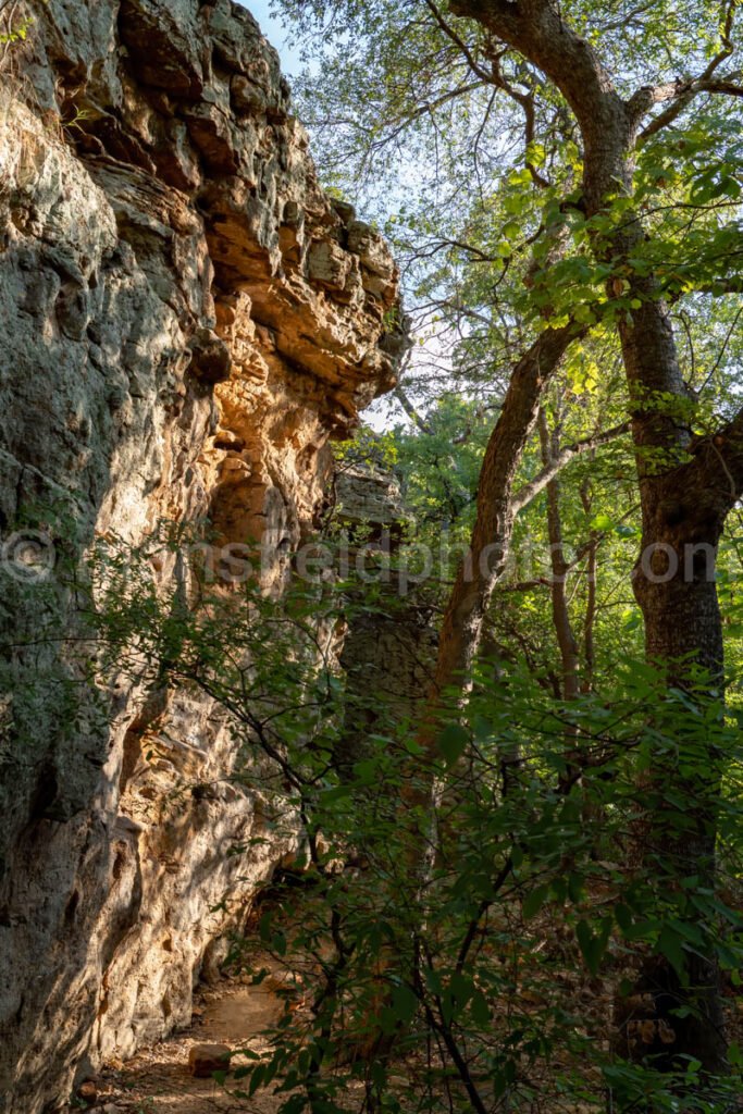 Lake Mineral Wells A4-08094 - Mansfield Photography