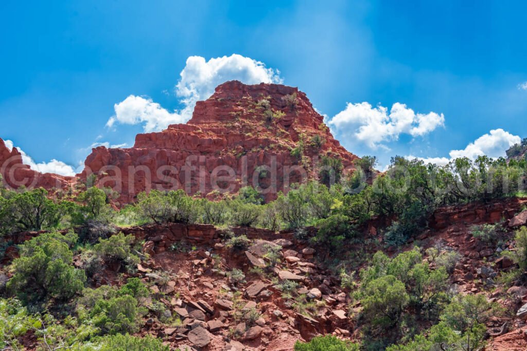 Caprock Canyons A4-08774 - Mansfield Photography