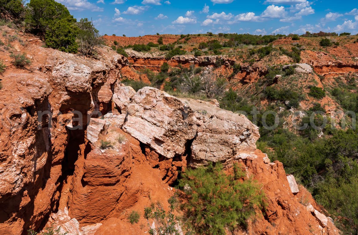 Caprock Canyons A4-08780