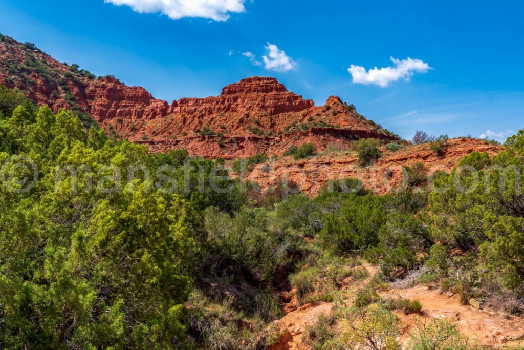 Caprock Canyons A4-08784 - Mansfield Photography