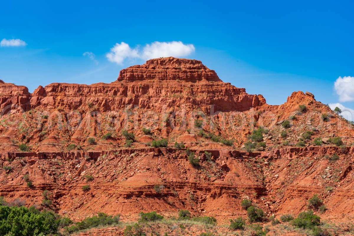 Caprock Canyons A4-08790