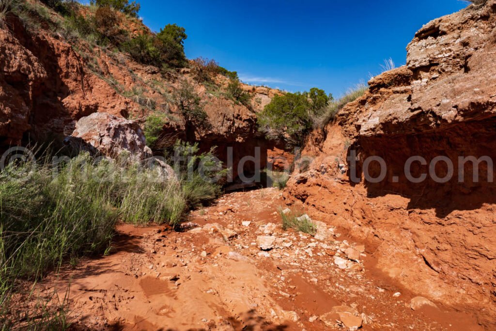 Caprock Canyons A4-08820 - Mansfield Photography