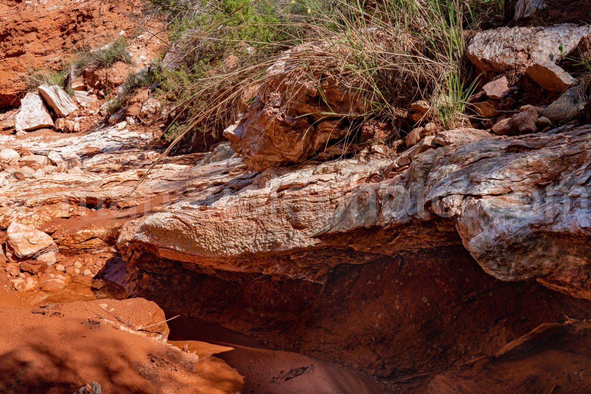 Caprock Canyons A4-08822