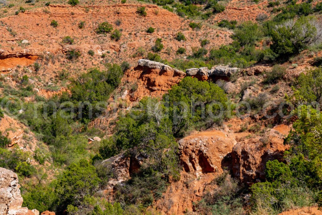 Caprock Canyons A4-08826 - Mansfield Photography