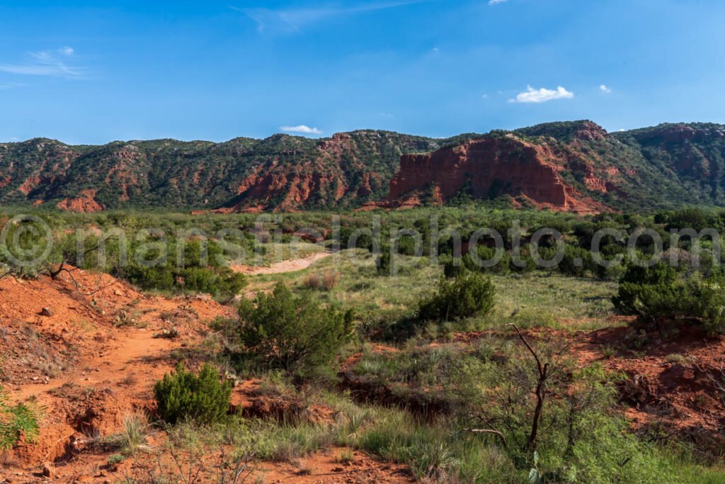 Caprock Canyons A4-08885 - Mansfield Photography