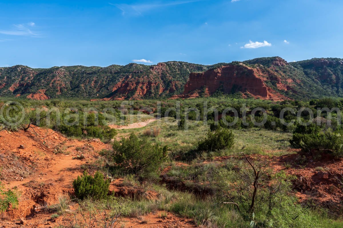 Caprock Canyons A4-08885