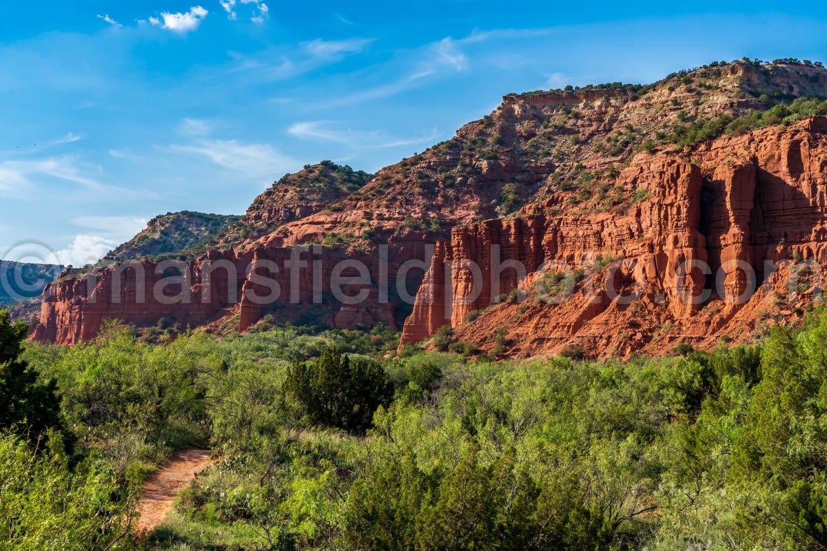 Caprock Canyons A4-08898