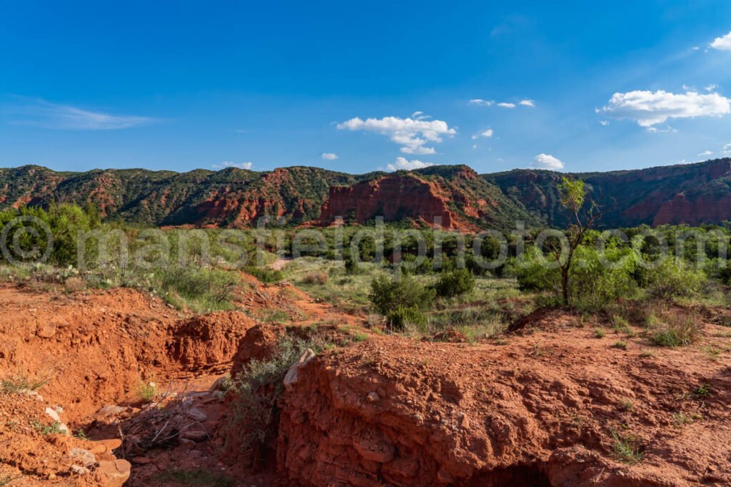 Caprock Canyons A4-08908 - Mansfield Photography