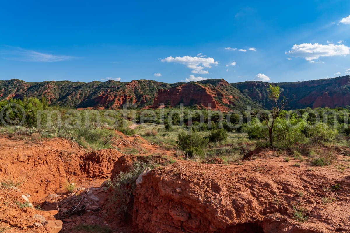 Caprock Canyons A4-08908