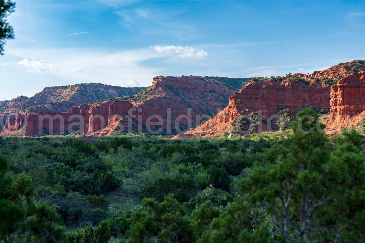 Caprock Canyons A4-08914