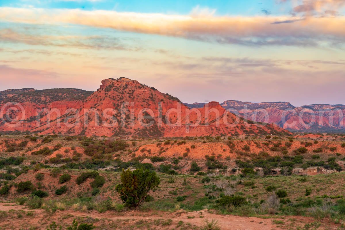 Caprock Canyons A4-09052