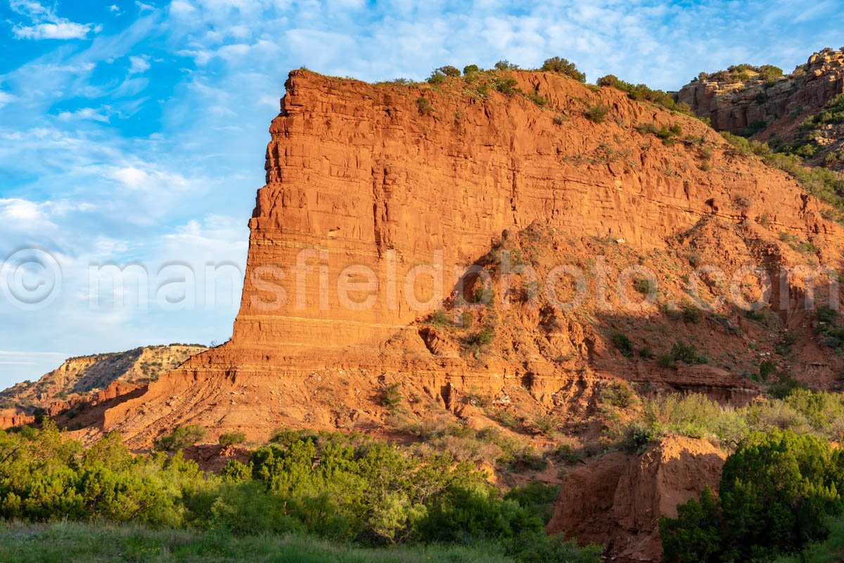 Caprock Canyons A4-09101