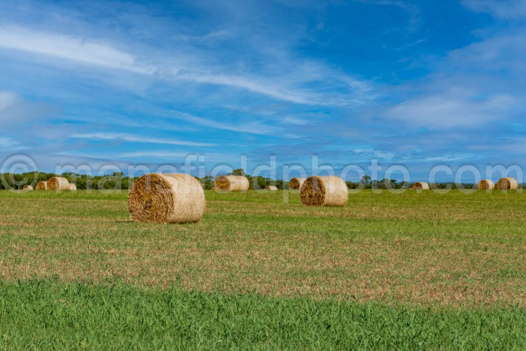 Hay And Field A4-09373 - Mansfield Photography