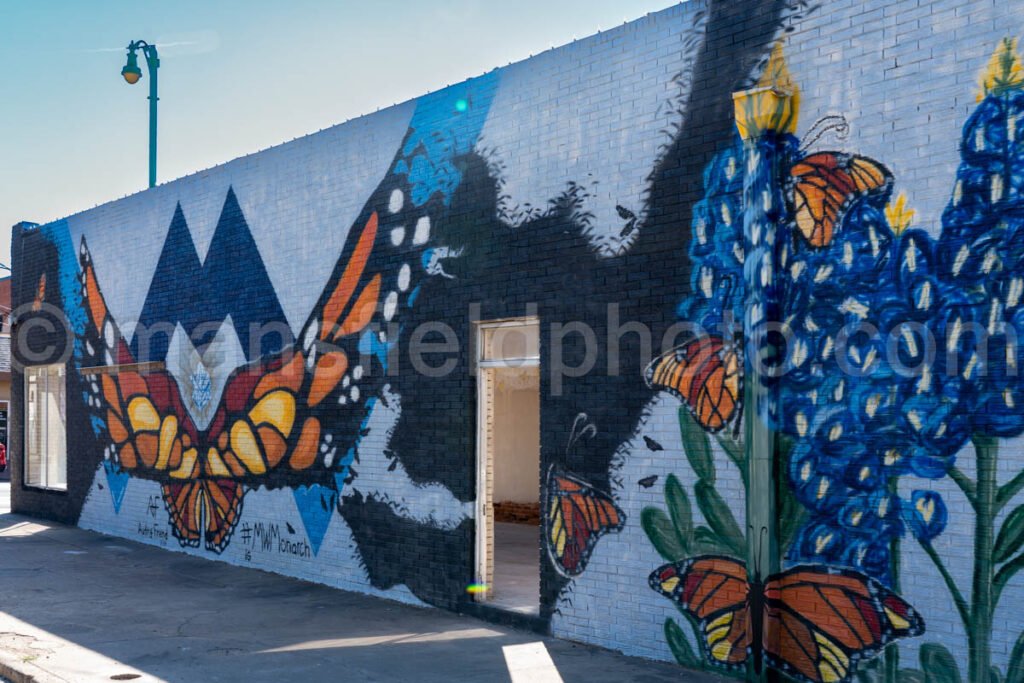 Mineral Wells, Texas A4-10039 - Mansfield Photography