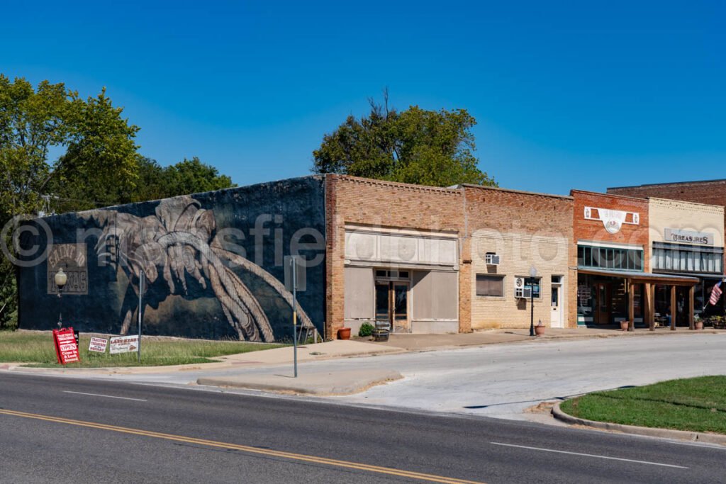 Saint Jo, Texas A4-10198 - Mansfield Photography