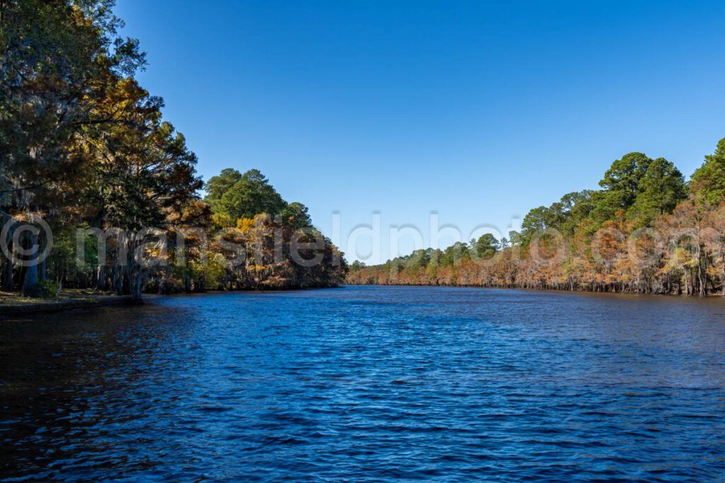 Big Cypress Bayou, Caddo Lake, Tx A4-10233 - Mansfield Photography