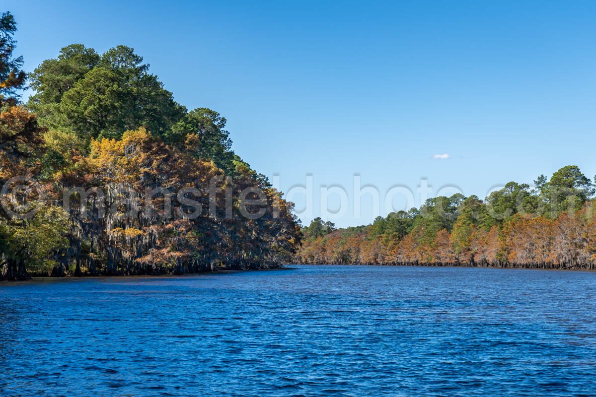 Big Cypress Bayou, Caddo Lake, Tx A4-10236