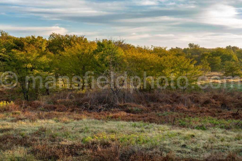 Autumn At Hidden Pond A4-10279 - Mansfield Photography