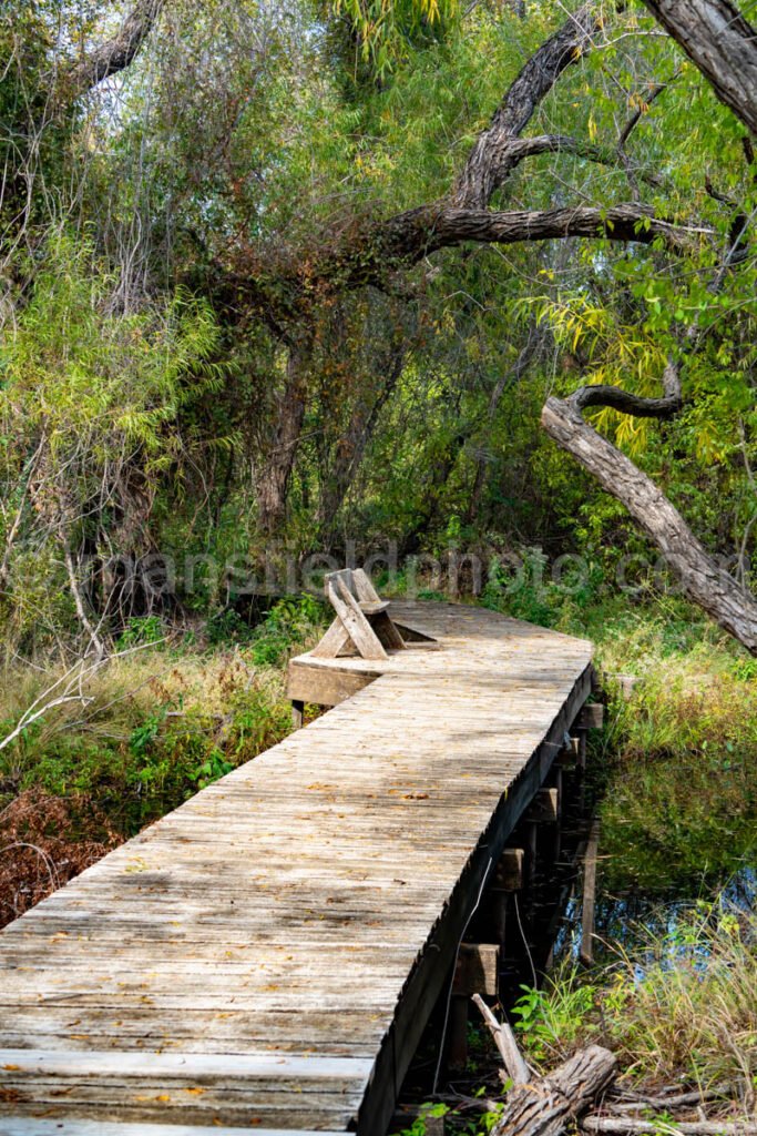 Marsh Boardwalk, Llela Nature Preserve A4-10281 - Mansfield Photography