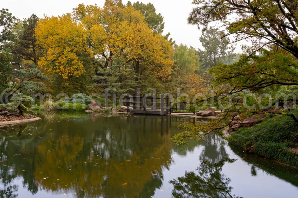 Japanese Garden, Fort Worth Botanic Garden A4-10453 - Mansfield Photography