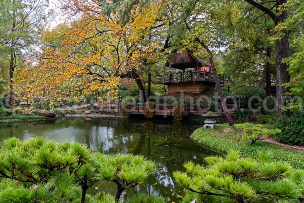 Japanese Garden, Fort Worth Botanic Garden A4-10486 - Mansfield Photography