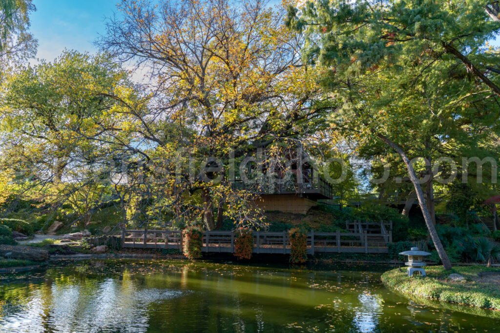 Japanese Garden at Fort Worth Botanical Garden A4-10502 - Mansfield Photography