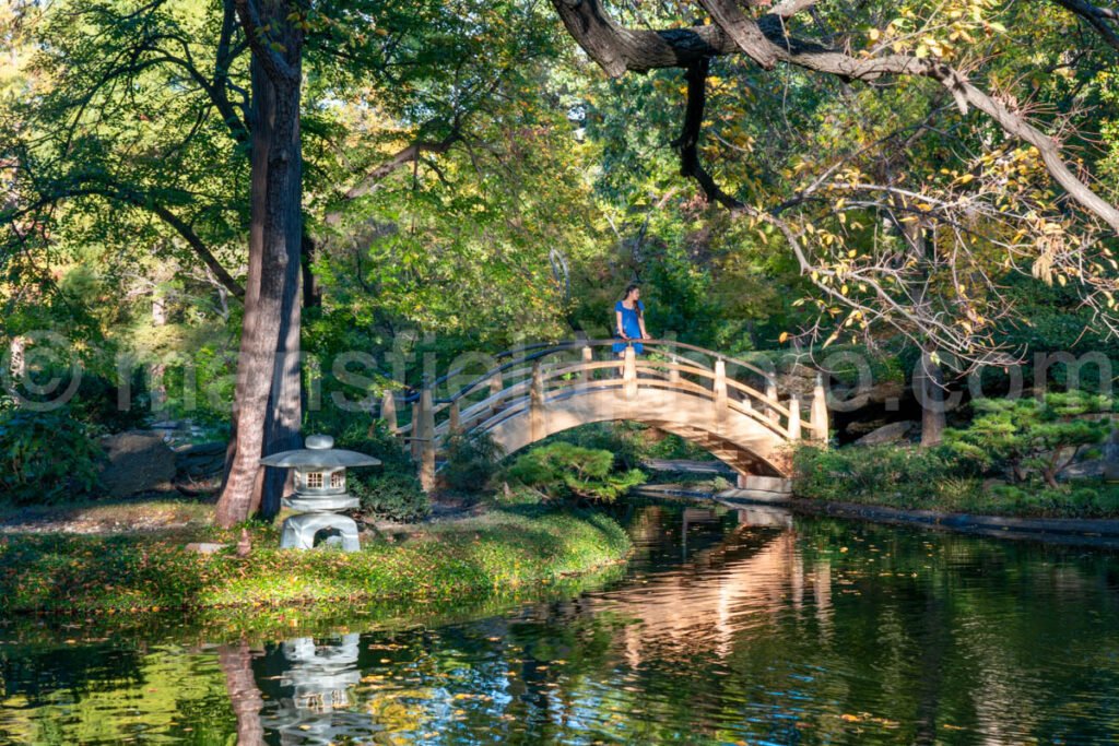 Japanese Garden at Fort Worth Botanical Garden A4-10520 - Mansfield Photography