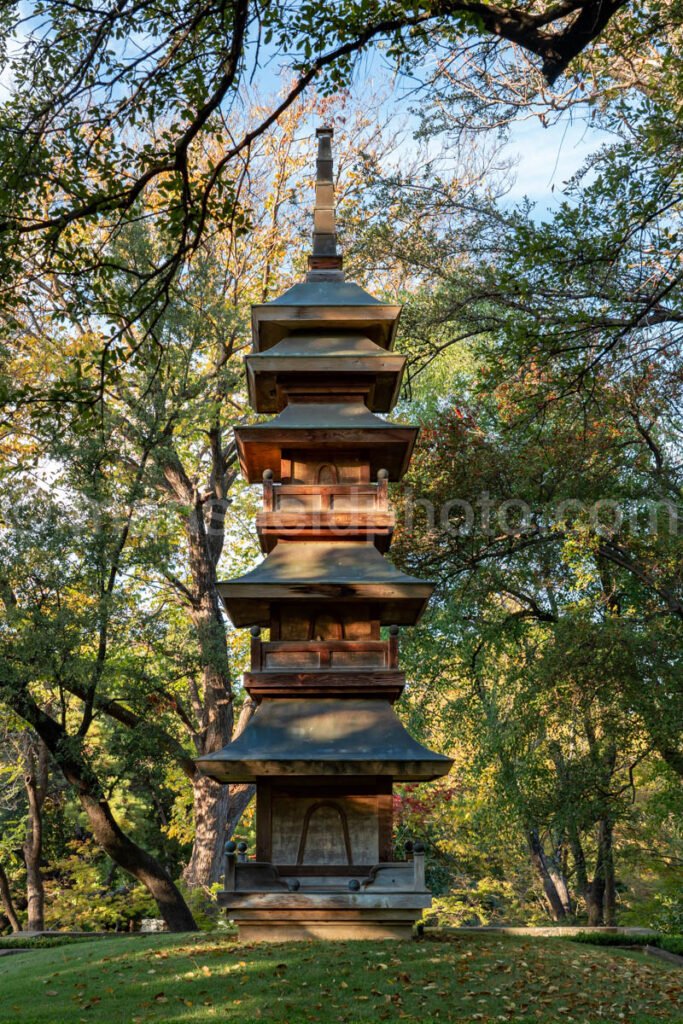 Japanese Garden At Fort Worth Botanical Garden A4-10548 - Mansfield Photography