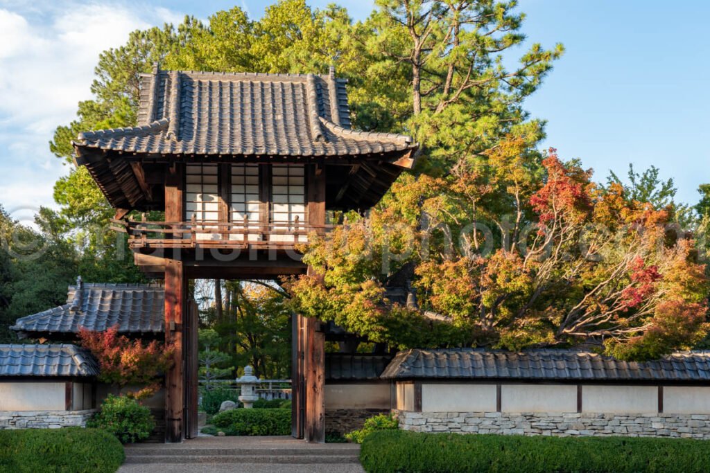 Japanese Garden At Fort Worth Botanical Garden A4-10556 - Mansfield Photography