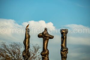 Downtown Fort Worth A4-10568 - Mansfield Photography