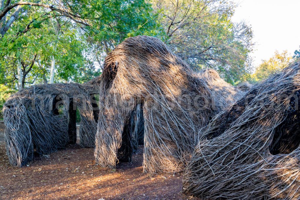 Fort Worth Botanic Garden A4-10628 - Mansfield Photography