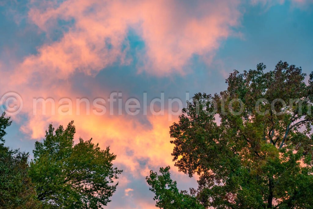 Sunset Sky And Tree A4-10813 - Mansfield Photography