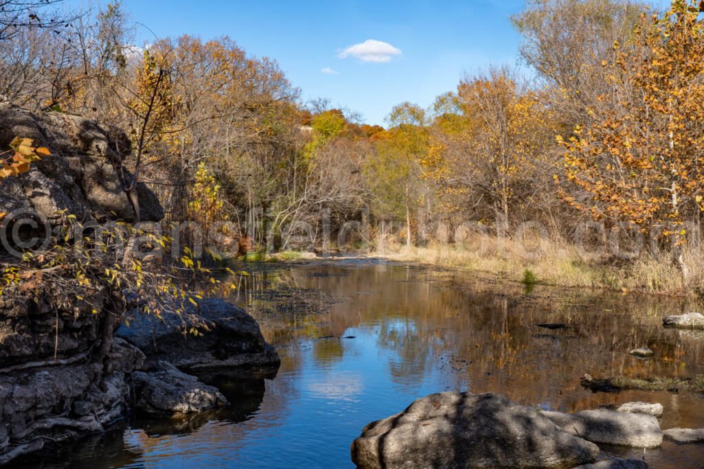 Autumn In Marion Samson Park A4-10825 - Mansfield Photography