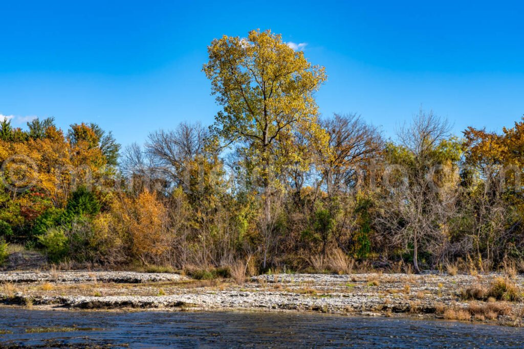 Autumn In Marion Samson Park A4-10843 - Mansfield Photography