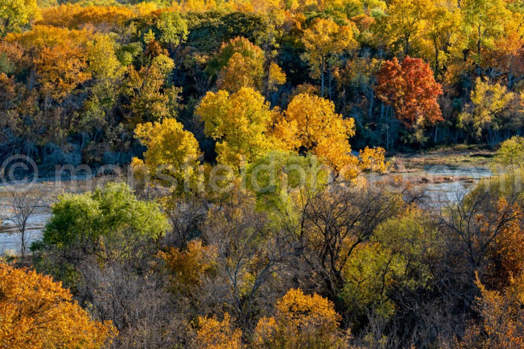 Autumn In Marion Samson Park A4-10876 - Mansfield Photography