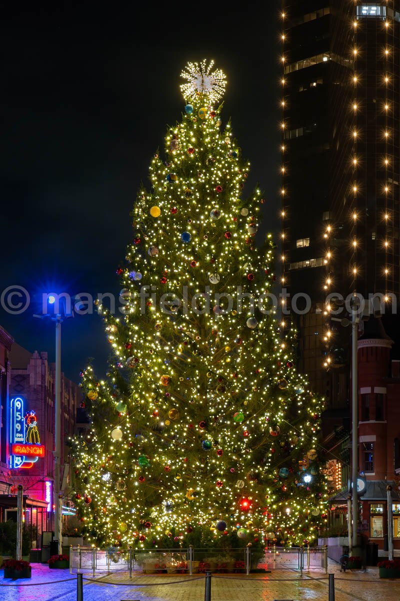 Christmas Tree At Sundance Square, Fort Worth A4-10881