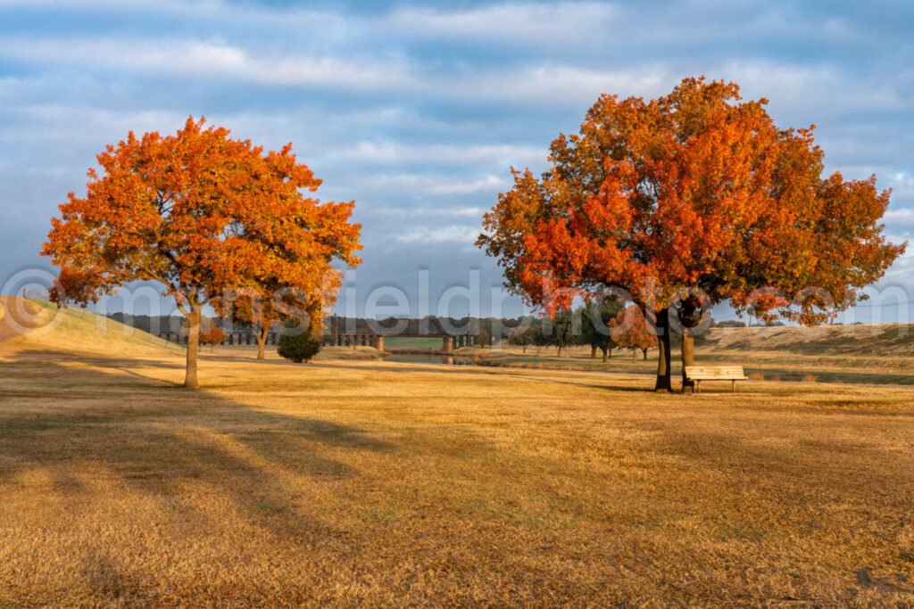 Autumn Trees And Train Bridge A4-10975 - Mansfield Photography