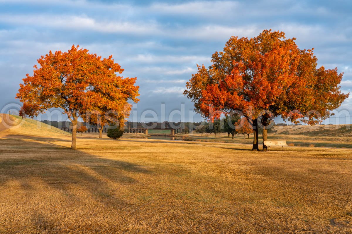 Autumn Trees And Train Bridge A4-10975