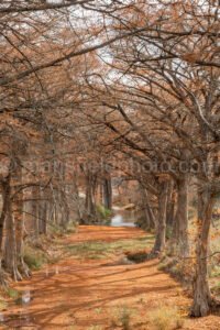 Miller Creek Near Johnson City, Tx A4-11095 - Mansfield Photography