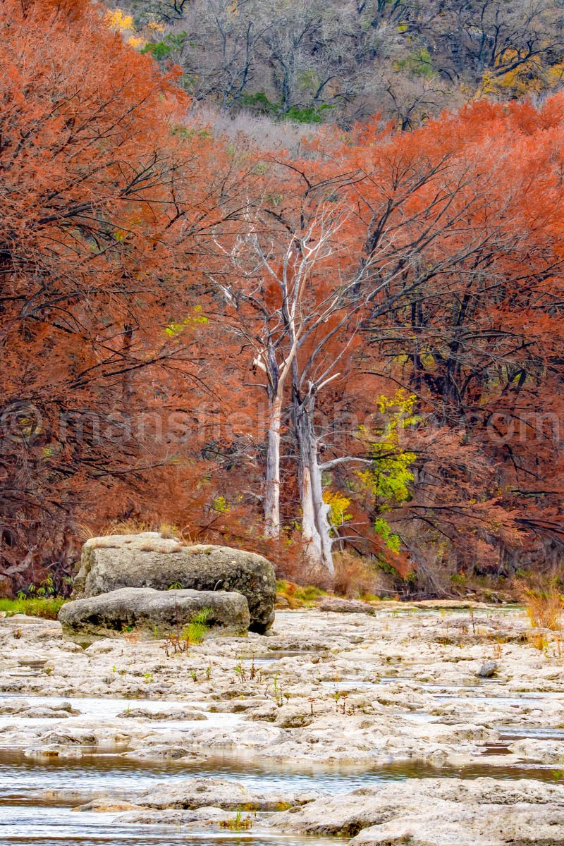 Autumn On The Pedernales River A4-11114