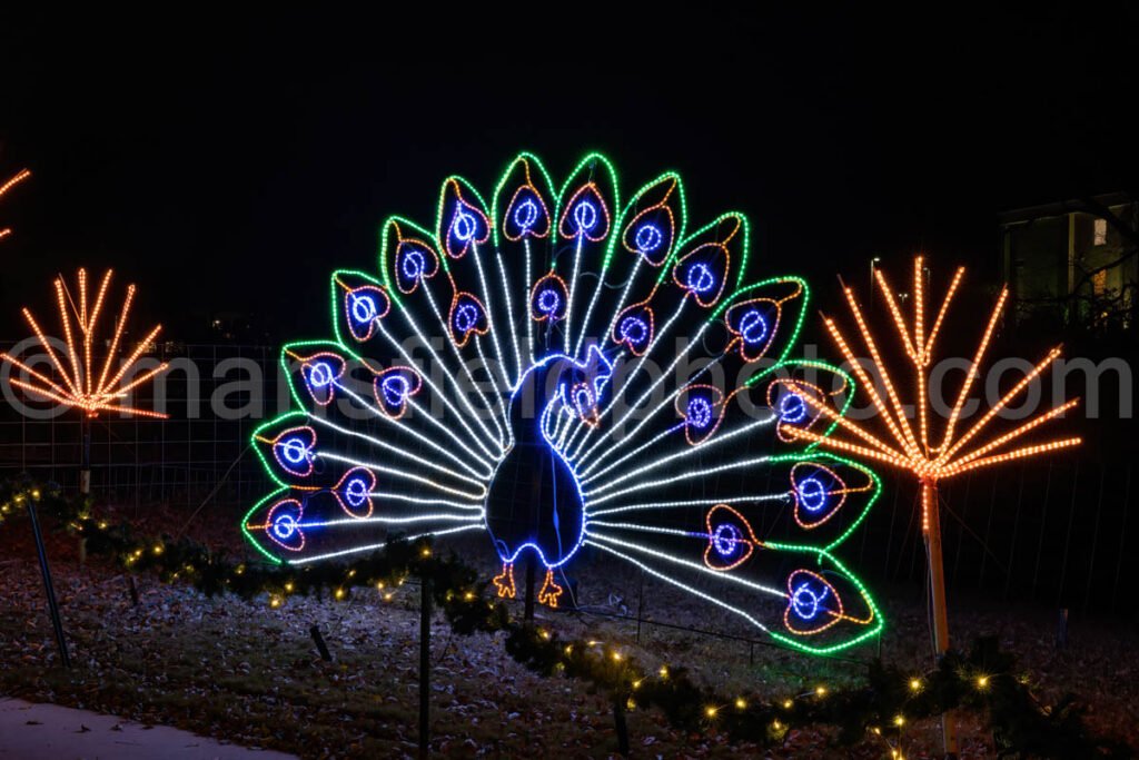 Walkway Of Lights, Marble Falls, Tx A4-11175 - Mansfield Photography