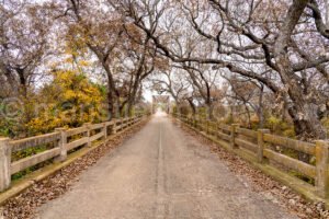 Pecan Bayou Bridge A4-11197 - Mansfield Photography