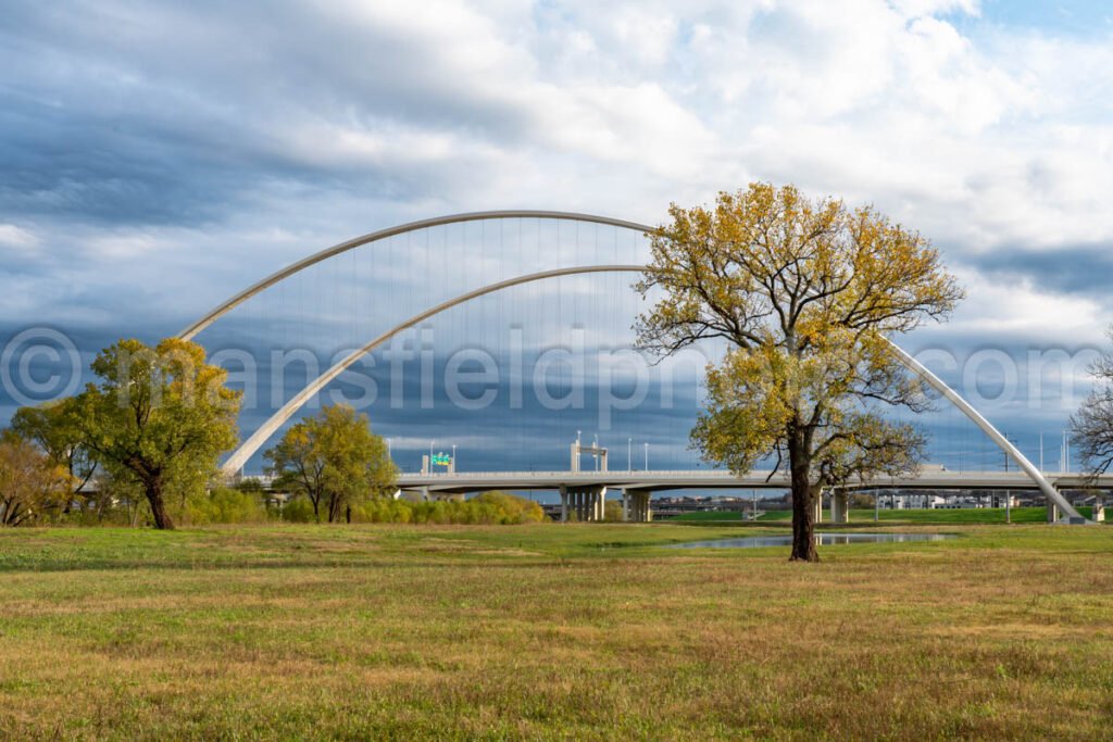 Margaret Mcdermott Bridge, Dallas, Tx A4-11453 - Mansfield Photography