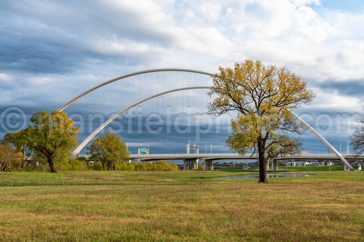 Margaret McDermott Bridge, Dallas, TX A4-11453