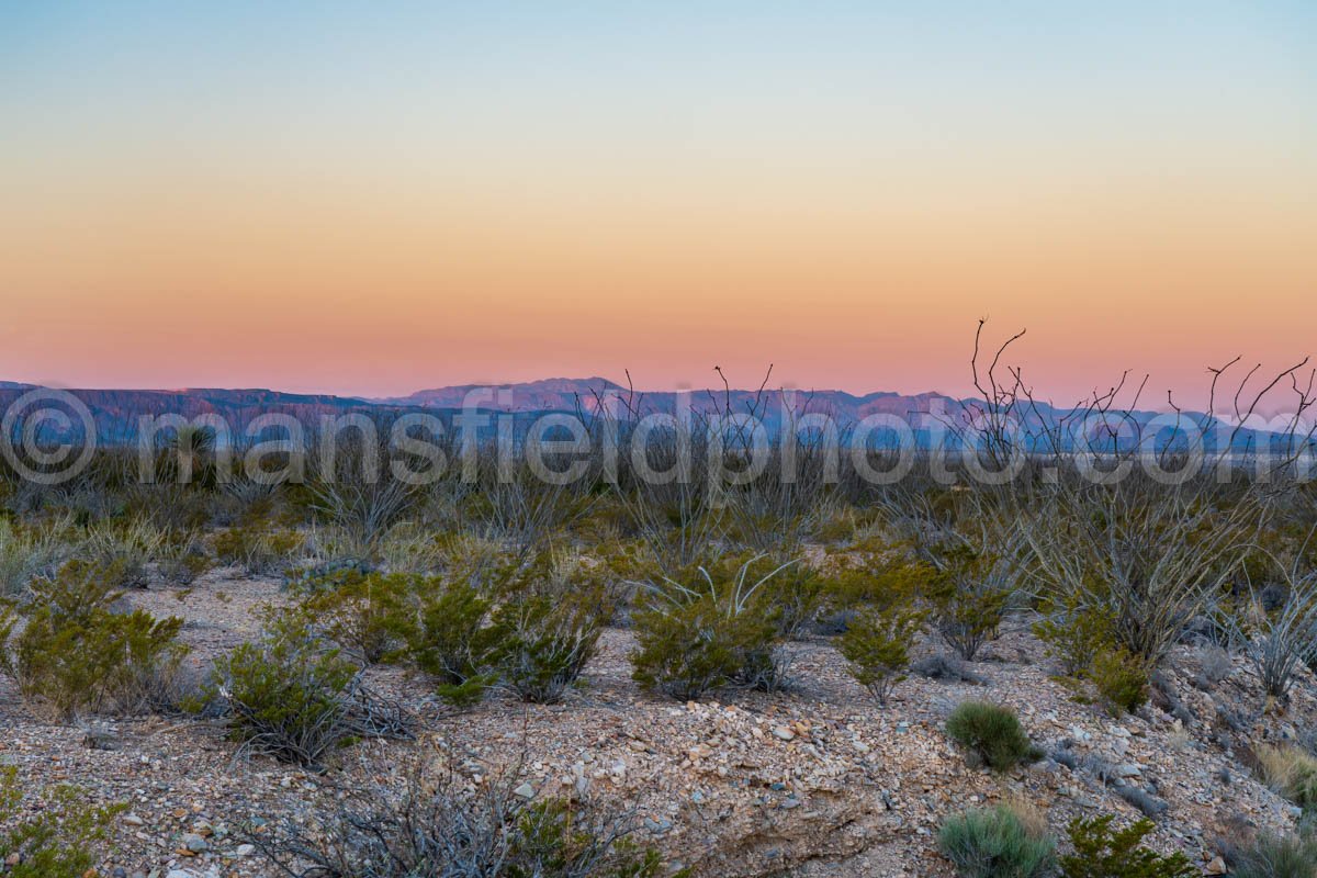 View From Maverick Junction, Big Bend National Park A4-12068