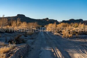 Old Maverick Road (Dirt Road), Big Bend A4-12101 - Mansfield Photography