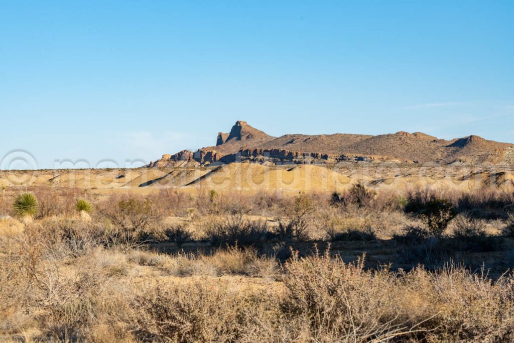 Old Maverick Road (Dirt Road), Big Bend A4-12113 - Mansfield Photography