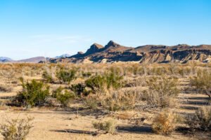 Old Maverick Road (Dirt Road), Big Bend A4-12117 - Mansfield Photography