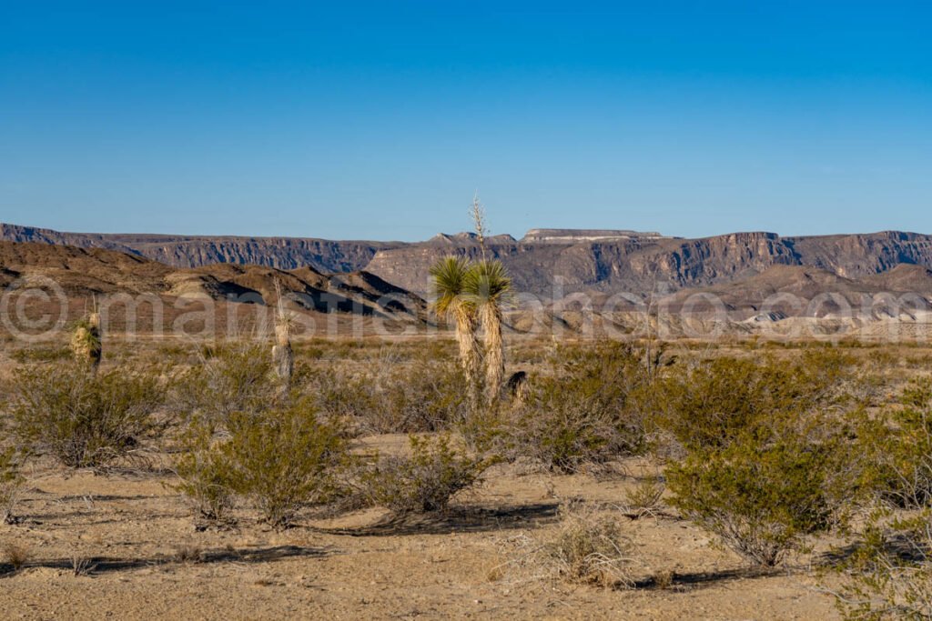 Old Maverick Road (Dirt Road), Big Bend A4-12119 - Mansfield Photography